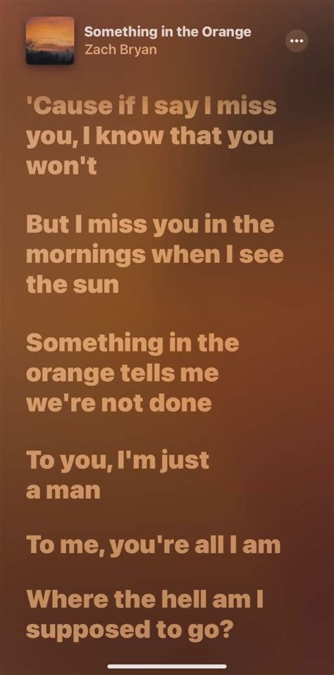 Something In The Orange lyrics: It'll be fine by dusk light, I'm tellin' you, baby These things eat at your bones and drive your young mind crazy But when you place your head between my collar and jaw I don't know much,